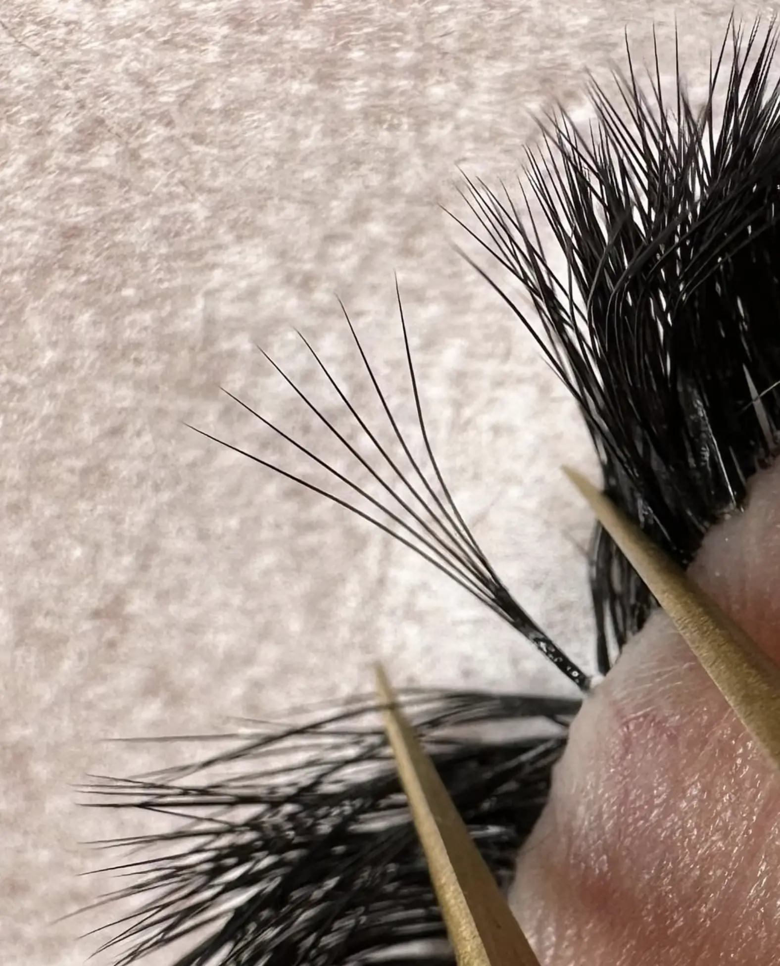 Lash Extension Course