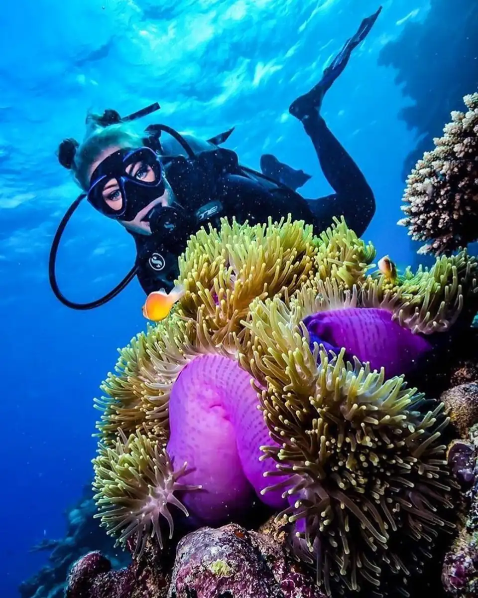 The 24-Hour No-Fly Rule: Why Your 2026 Flight Schedule Matters For Scuba Diving On The Great Barrier Reef